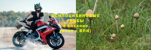 винт Баксан